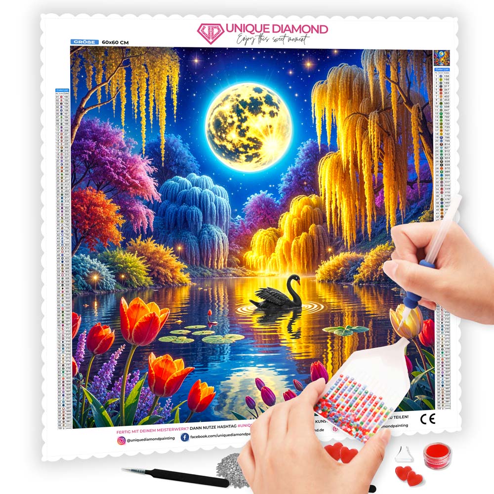 5D Diamond Painting – Nocturne des Schwarzen Schwans, Unique-Diamond