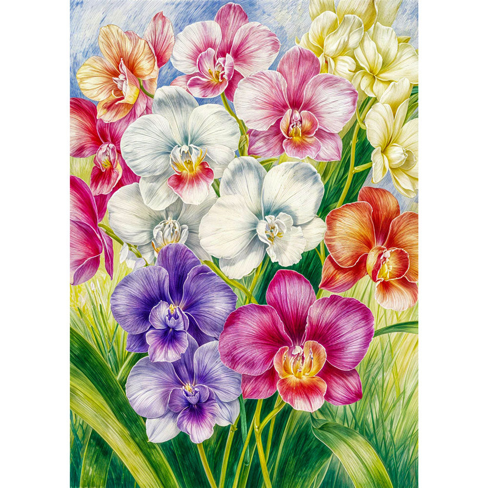 5D Diamond Painting – Orchideengarten im Morgenlicht, Unique-Diamond